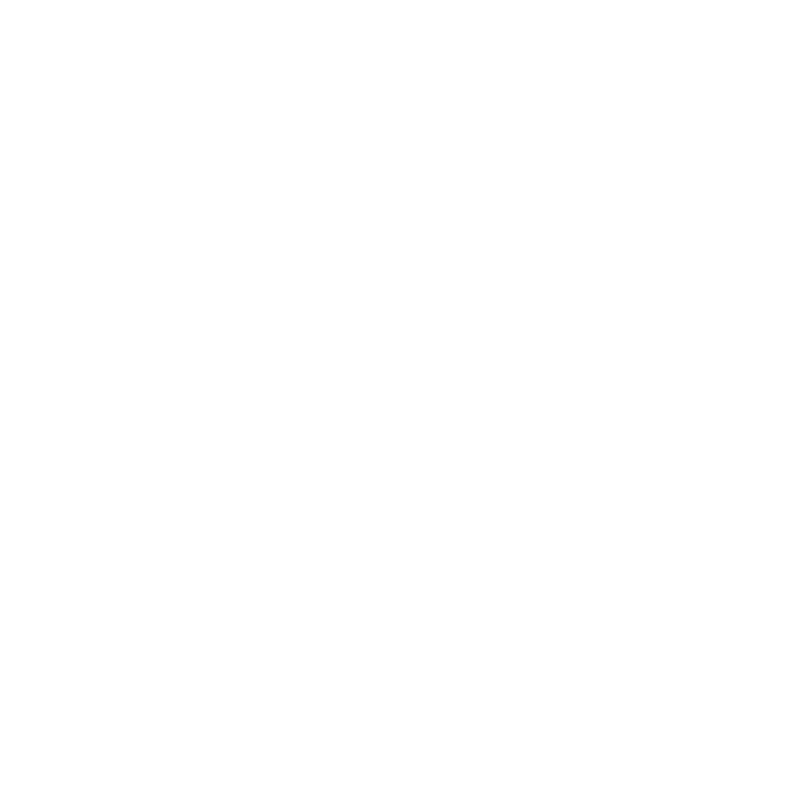 BorderPay Velocity